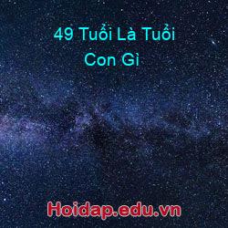 49 Tuổi Là Tuổi Con Gì