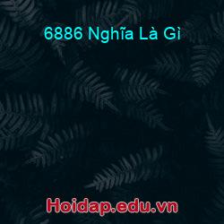 6886 Nghĩa Là Gì