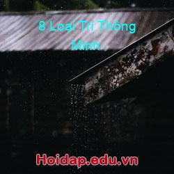8 Loại Trí Thông Minh