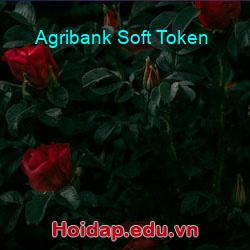 Agribank Soft Token