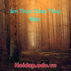 ẩm Thực Chay Thuỷ Mộc