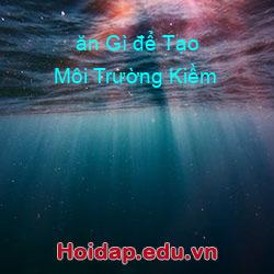 ăn Gì để Tạo Môi Trường Kiềm