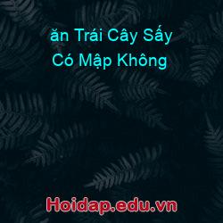 ăn Trái Cây Sấy Có Mập Không