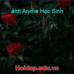 ảnh Anime Học Sinh