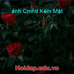 ảnh Cmnd Kèm Mặt