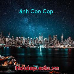 ảnh Con Cọp