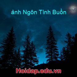 ảnh Ngôn Tình Buồn