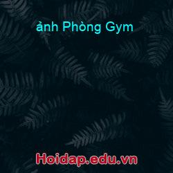ảnh Phòng Gym