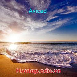 Avicad