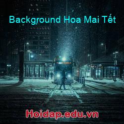 Background Hoa Mai Tết