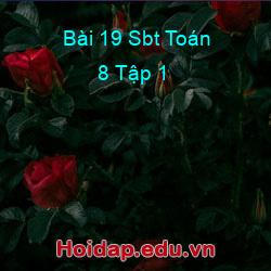 Bài 19 Sbt Toán 8 Tập 1