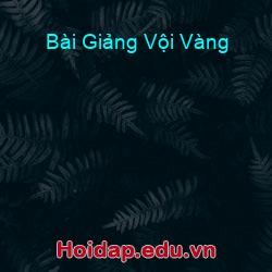 Bài Giảng Vội Vàng