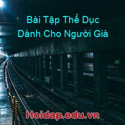 Bài Tập Thể Dục Dành Cho Người Già