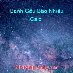 Bánh Gấu Bao Nhiêu Calo