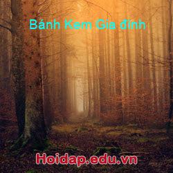 Bánh Kem Gia đình