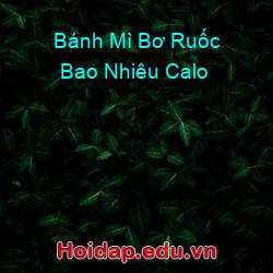 Bánh Mì Bơ Ruốc Bao Nhiêu Calo
