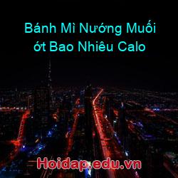 Bánh Mì Nướng Muối ớt Bao Nhiêu Calo