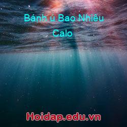 Bánh ú Bao Nhiêu Calo