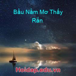 Bầu Nằm Mơ Thấy Rắn