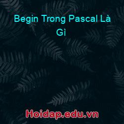 Begin Trong Pascal Là Gì