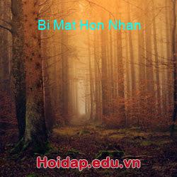 Bi Mat Hon Nhan