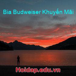 Bia Budweiser Khuyến Mãi