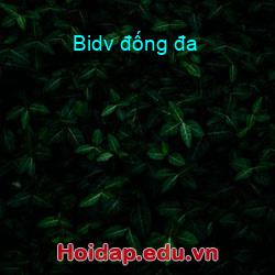 Bidv đống đa