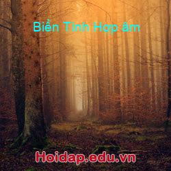 Biển Tình Hợp âm