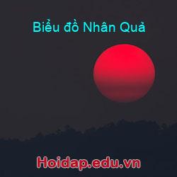Biểu đồ Nhân Quả