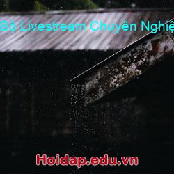 Bộ Livestream Chuyên Nghiệp