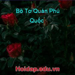 Bò Tơ Quán Phú Quốc
