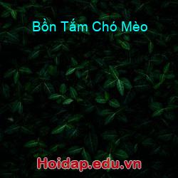 Bồn Tắm Chó Mèo