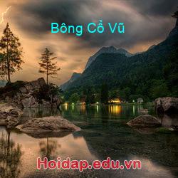 Bông Cổ Vũ