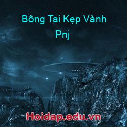 Bông Tai Kẹp Vành Pnj