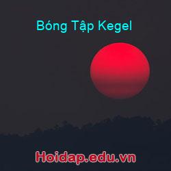 Bóng Tập Kegel