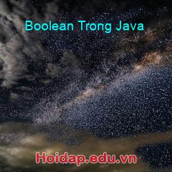 Boolean Trong Java