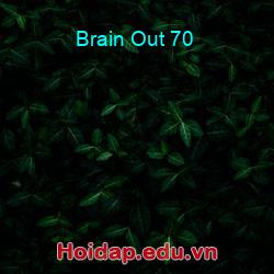 Brain Out 70