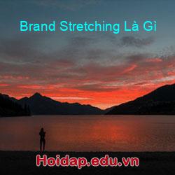 Brand Stretching Là Gì