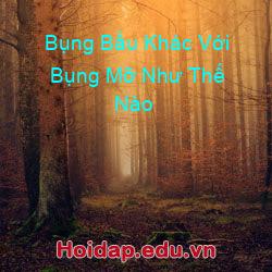 Bụng Bầu Khác Với Bụng Mỡ Như Thế Nào