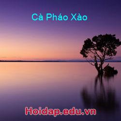 Cà Pháo Xào