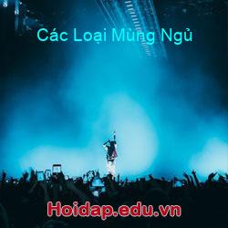 Các Loại Mùng Ngủ