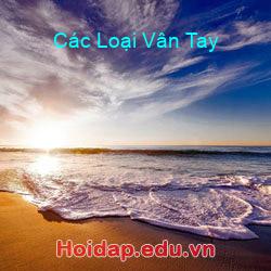 Các Loại Vân Tay