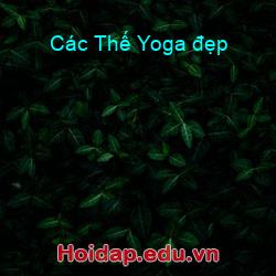 Các Thế Yoga đẹp