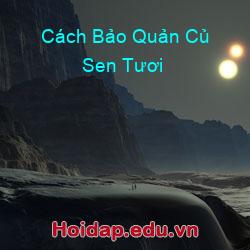 Cách Bảo Quản Củ Sen Tươi