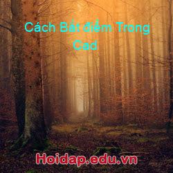 Cách Bắt điểm Trong Cad