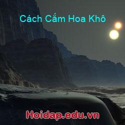 Cách Cắm Hoa Khô