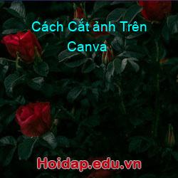 Cách Cắt ảnh Trên Canva