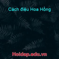 Cách điệu Hoa Hồng