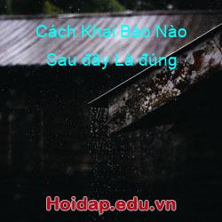 Cách Khai Báo Nào Sau đây Là đúng
