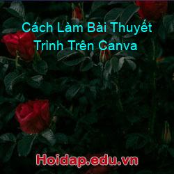 Cách Làm Bài Thuyết Trình Trên Canva
